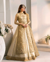 D007-f024: "Golden Gown: Embroidered Opulence