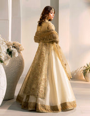 D007-f024: "Golden Gown: Embroidered Opulence