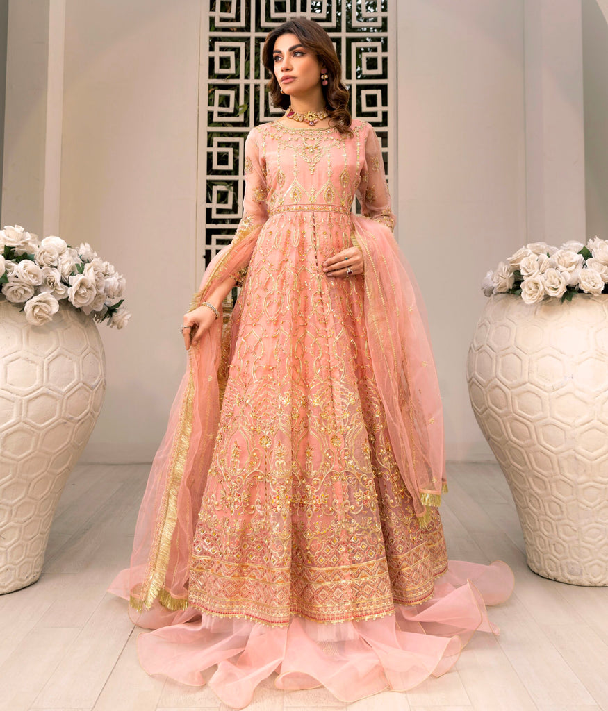 D001-F024: Peach Pink Maxi: Customizable Sophistication – Clothere by Anam