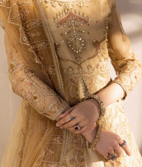 D007-f024: "Golden Gown: Embroidered Opulence